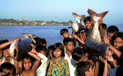 WWF lanza un código ético para luchar contra la explotación humana en las pesquerías en países en vías de desarrollo