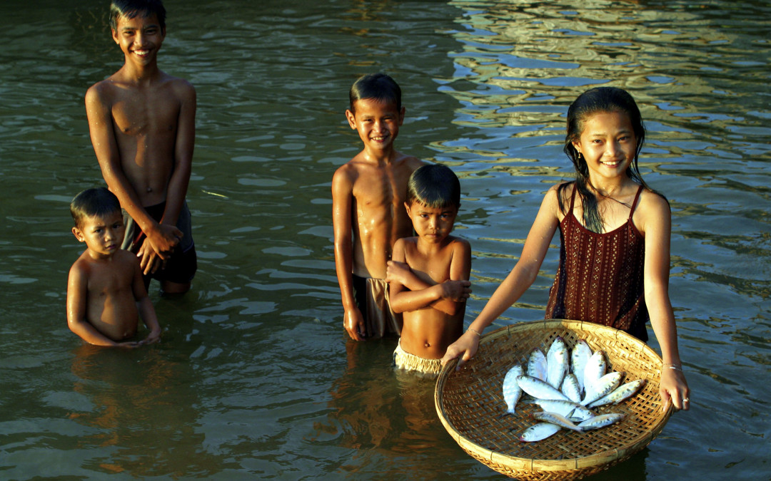 Um peixe para alimentar uma família