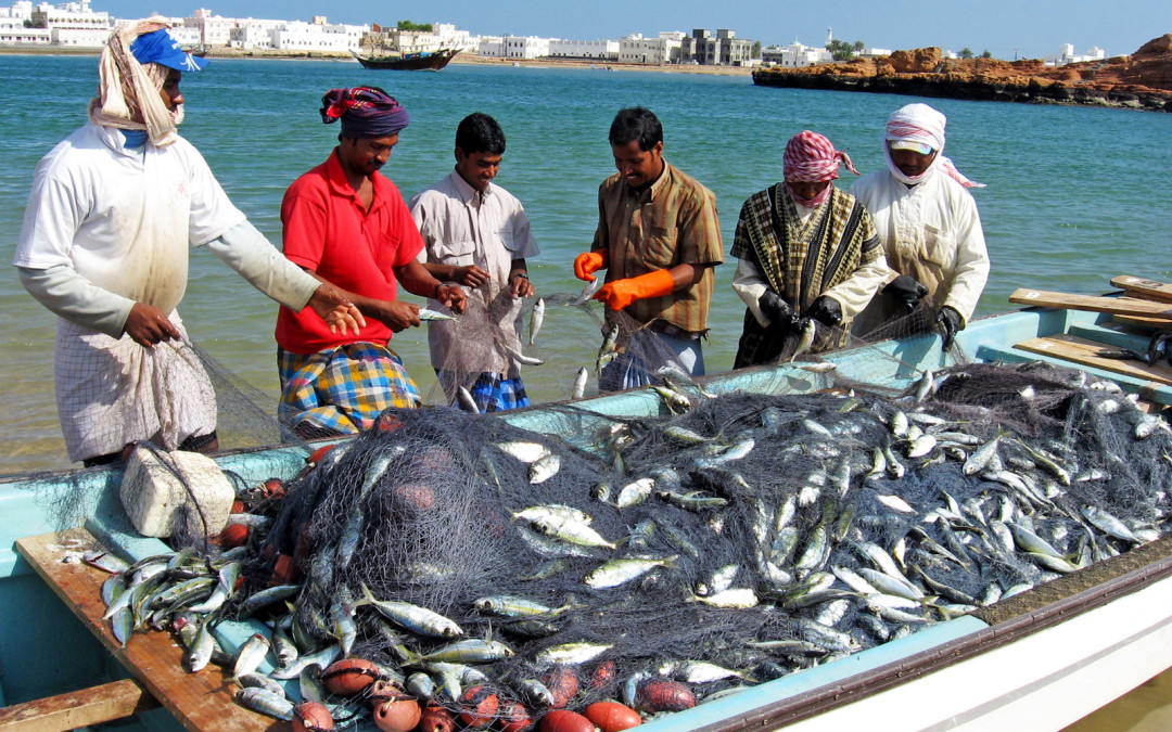 Продукцията на стопанските рибарства достига лимита си