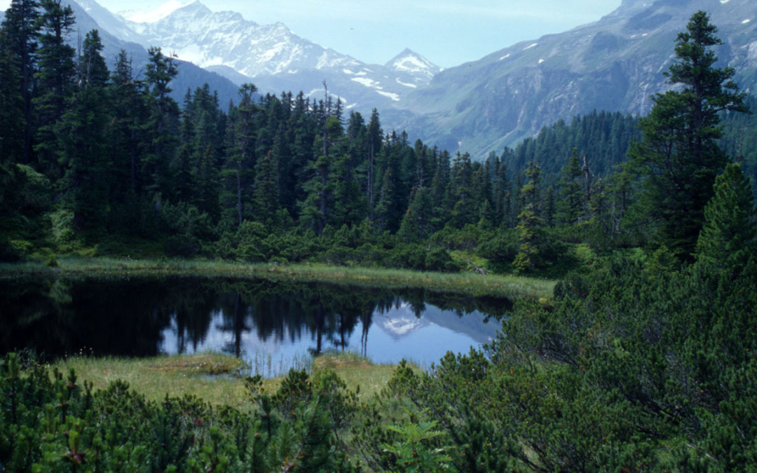 Fisheries in Austria