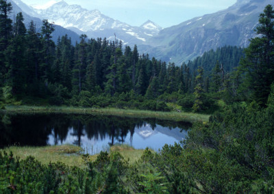 Fischerei in Österreich