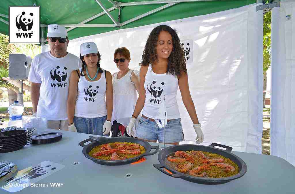 España, un país de gran tradición en el consumo de pescado