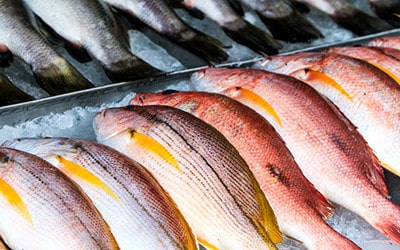 Según una encuesta, hasta un 75% de los entrevistados elegiría pescados y mariscos sostenibles