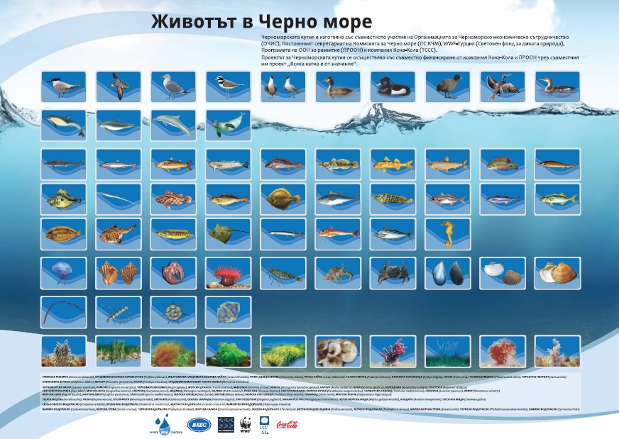 Необходими са спешни мерки за оценка на рибните запаси в Черно море