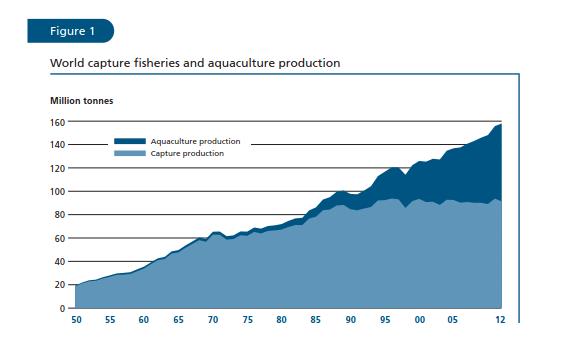 Abb. 1: Entwicklung globaler Fischfang und Aquakulturproduktion