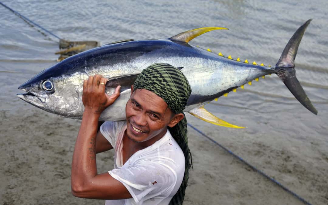 Tuna fisherman