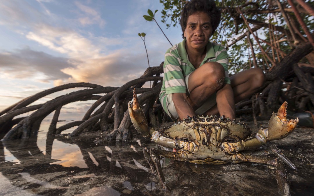 Mita from Ligau Levu Village expertly handles a freshly caught mudcrab. © Jürgen Freund / WWF-Pacific