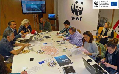 WWF lanza una nueva campaña en la UE para fomentar la compra responsable de pescado y marisco