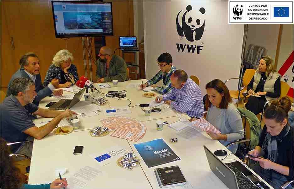 WWF lanza una nueva campaña en la UE para fomentar la compra responsable de pescado y marisco
