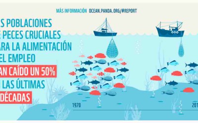 El colapso de las pesquerías y la mala salud del océano amenazan el suministro de alimentos