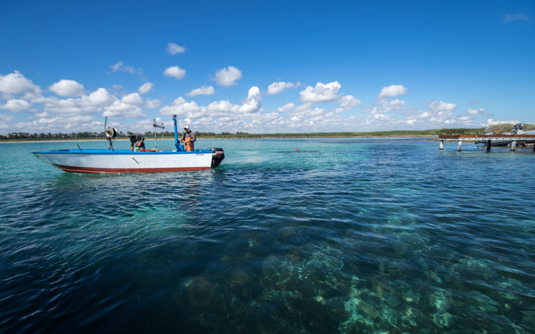 Cuando en la punta del muelle había muchísimos ‘Lenguados’