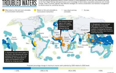 Nutrition: Fall in fish catch threatens human health