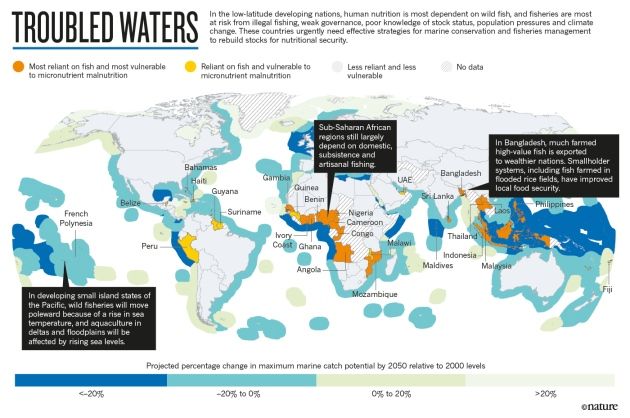 Nutrition: Fall in fish catch threatens human health