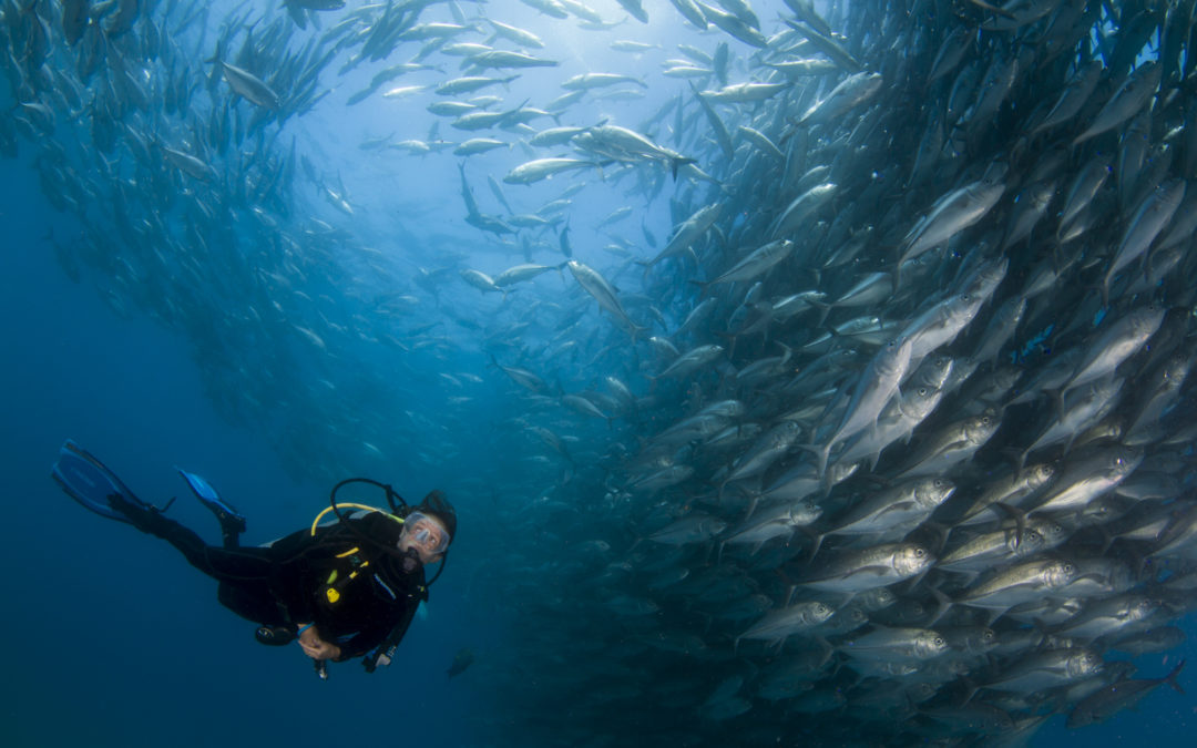 Céline Cousteau: este important ca oamenii să înțeleagă că depind de oceane