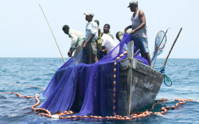 El Convenio sobre el trabajo en la pesca, 2007 (núm. 188) entrará en vigor en un año