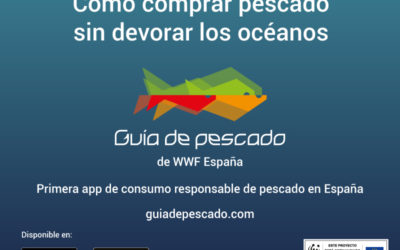 WWF presenta la primera app para consumir pescado de forma responsable en España