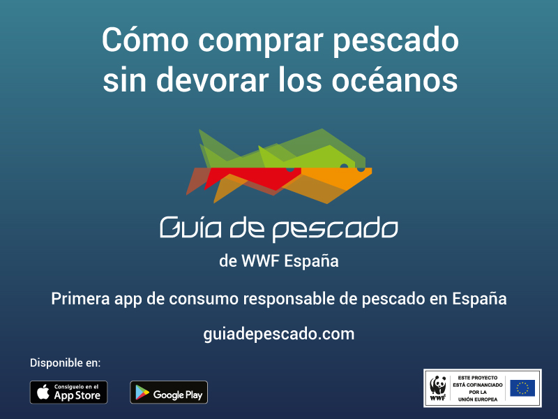 WWF presenta la primera app para consumir pescado de forma responsable en España