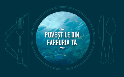 WWF lansează Ghidul pentru produse din pește și fructe de mare