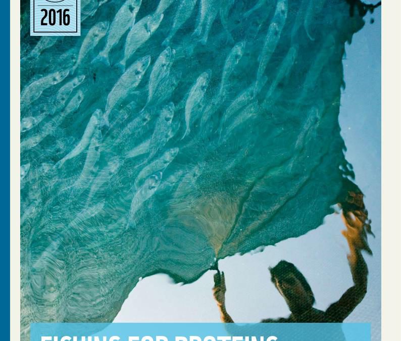 Relatório WWF: futuro incerto para milhões de pessoas que dependem de peixe como fonte de proteína