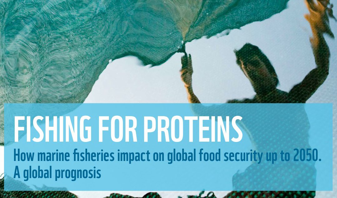 WWF Report: Uncertain future forecast for millions of people who depend on fish for protein