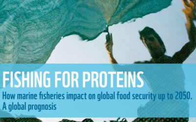 WWF Report: Uncertain future forecast for millions of people who depend on fish for protein