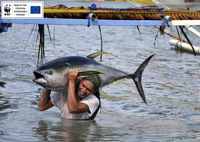 Όταν η Ευρώπη καταναλώνει βιώσιμα ψάρια, ωφελούνται οι αναπτυσσόμενες χώρες