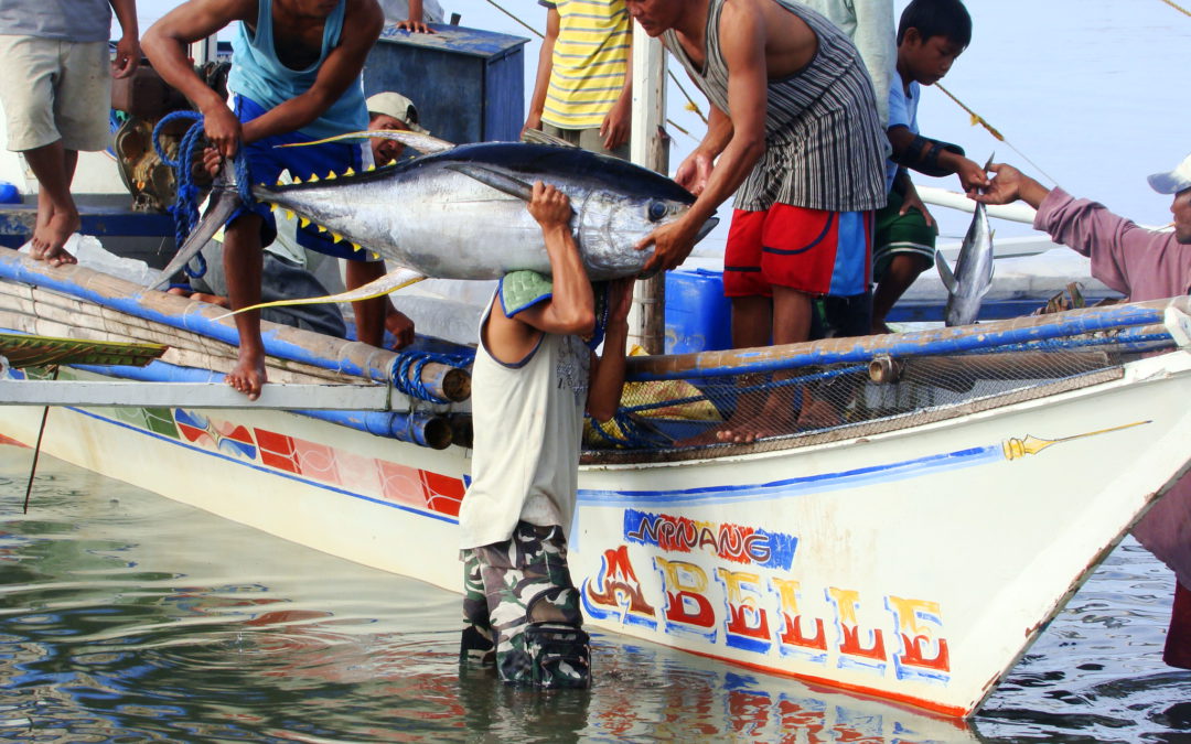 la UE es un motor para el cambio en países en desarrollo por su demanda de atún pescado de forma sostenible