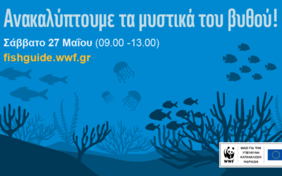 Το WWF σε προσκαλεί σε ένα δημιουργικό φεστιβάλ παιχνιδιών που μυρίζει θάλασσα & καλοκαίρι