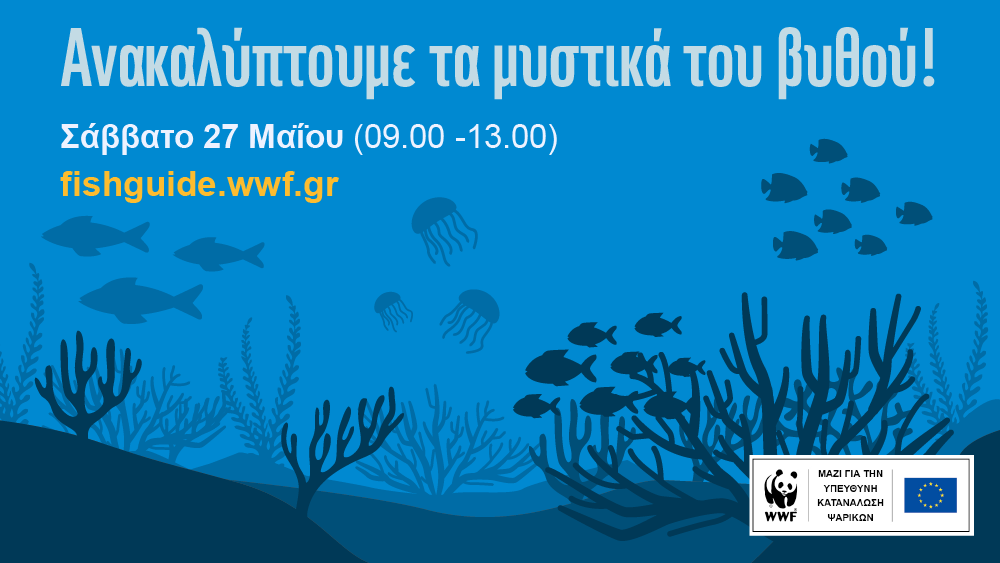 Το WWF σε προσκαλεί σε ένα δημιουργικό φεστιβάλ παιχνιδιών που μυρίζει θάλασσα & καλοκαίρι