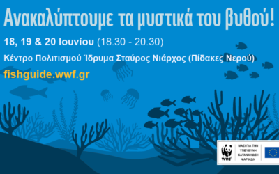 Η «ψαραγορά» του WWF πάει  στο Κέντρο Πολιτισμού Ίδρυμα Σταύρος Νιάρχος  με ένα φεστιβάλ παιχνιδιών που θα μείνει αξέχαστο!