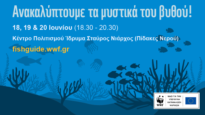 Η «ψαραγορά» του WWF πάει  στο Κέντρο Πολιτισμού Ίδρυμα Σταύρος Νιάρχος  με ένα φεστιβάλ παιχνιδιών που θα μείνει αξέχαστο!