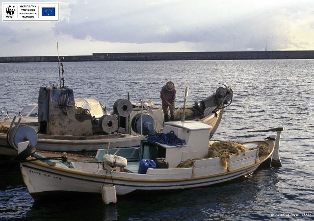 Παγκόσμια Ημέρα Αλιείας: Αυτή η μέρα ανήκει στους ψαράδες!