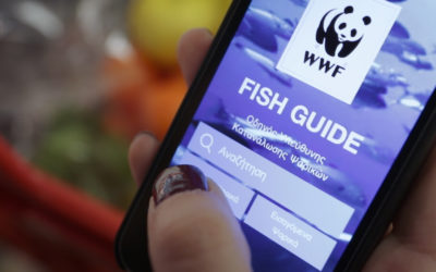 Fish Guide: ο Οδηγός του WWF για υπεύθυνη «ψαροφαγία» ανανεώνεται!