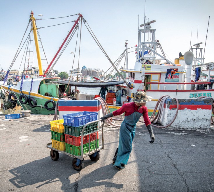 Auswirkungen der EU-IUU-Verordnung auf Handelsströme von Fisch und Meeresfrüchten