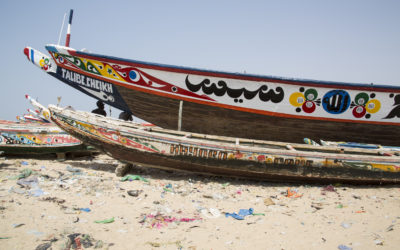 Νέα μελέτη του WWF με τίτλο «Σενεγάλη: συνδιαχείριση της αλιείας χταποδιού και πράσινου αστακού»