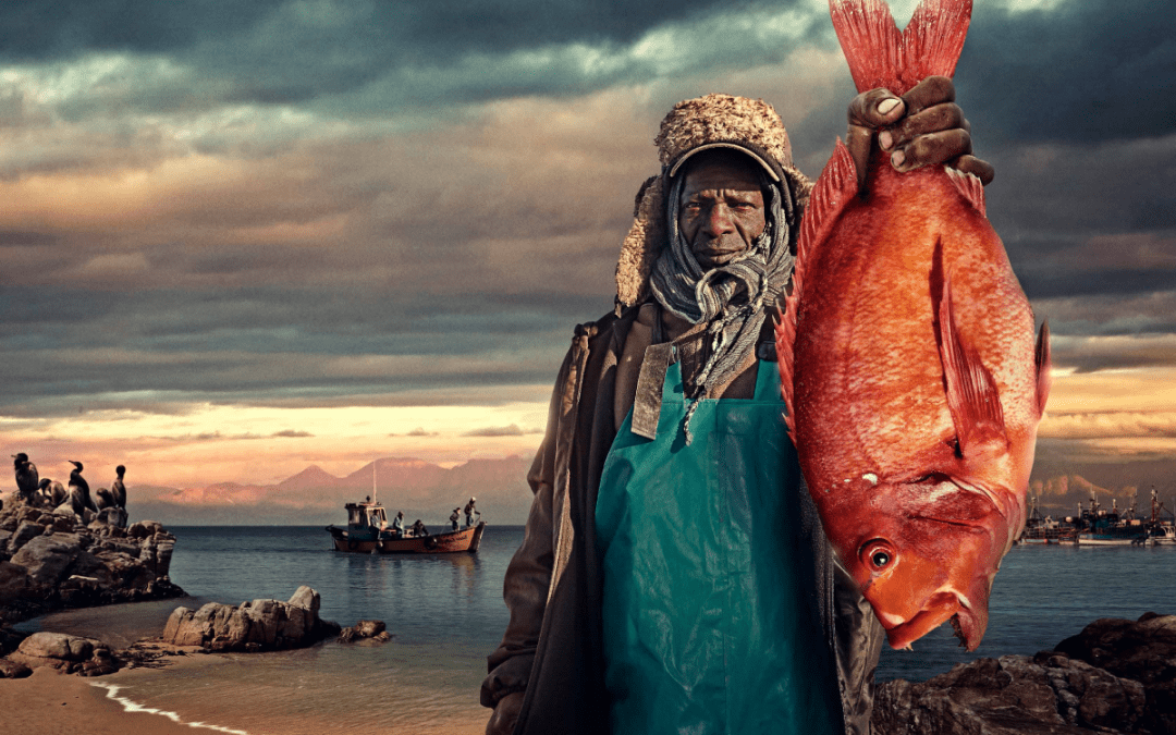 Welternährungstag: Überfischung bedroht Menschen