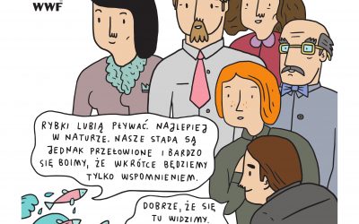 Wreszcie ryby mają głos. Okrągły Stół dla Biznesu WWF Polska