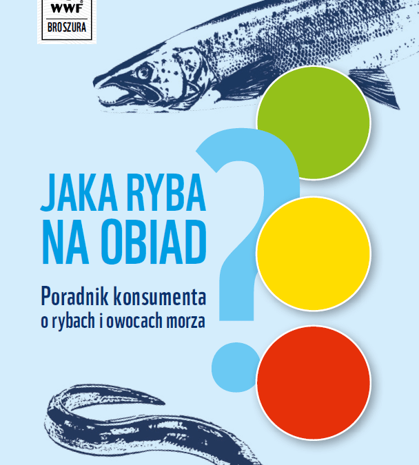 Ochrona mórz i oceanów przy sklepowej półce? Tak, to możliwe! – jeśli skorzystasz z wytycznych nowego poradnika rybnego WWF „Jaka ryba na obiad?”