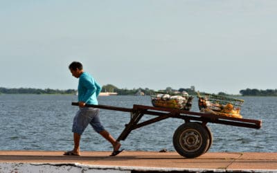 ЕС пуска софтуер, който да пази пазара от нерегламентирани доставки на морска храна