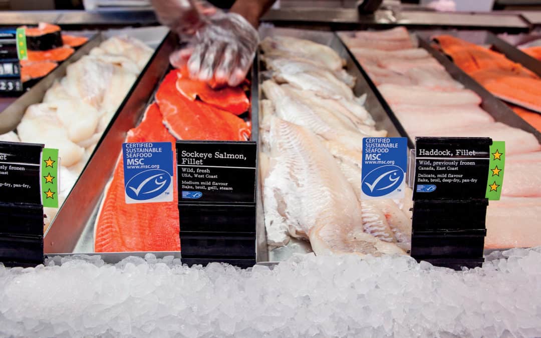Потребителите искат да знаят каква риба консумират, показва проучване