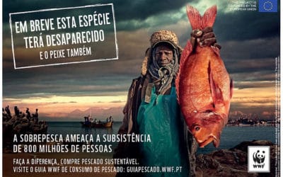 A ANP|WWF lança hoje uma nova campanha ‘Em breve esta espécie terá desaparecido!….E o peixe também!’