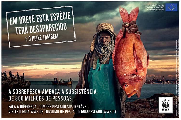 A ANP|WWF lança hoje uma nova campanha ‘Em breve esta espécie terá desaparecido!….E o peixe também!’