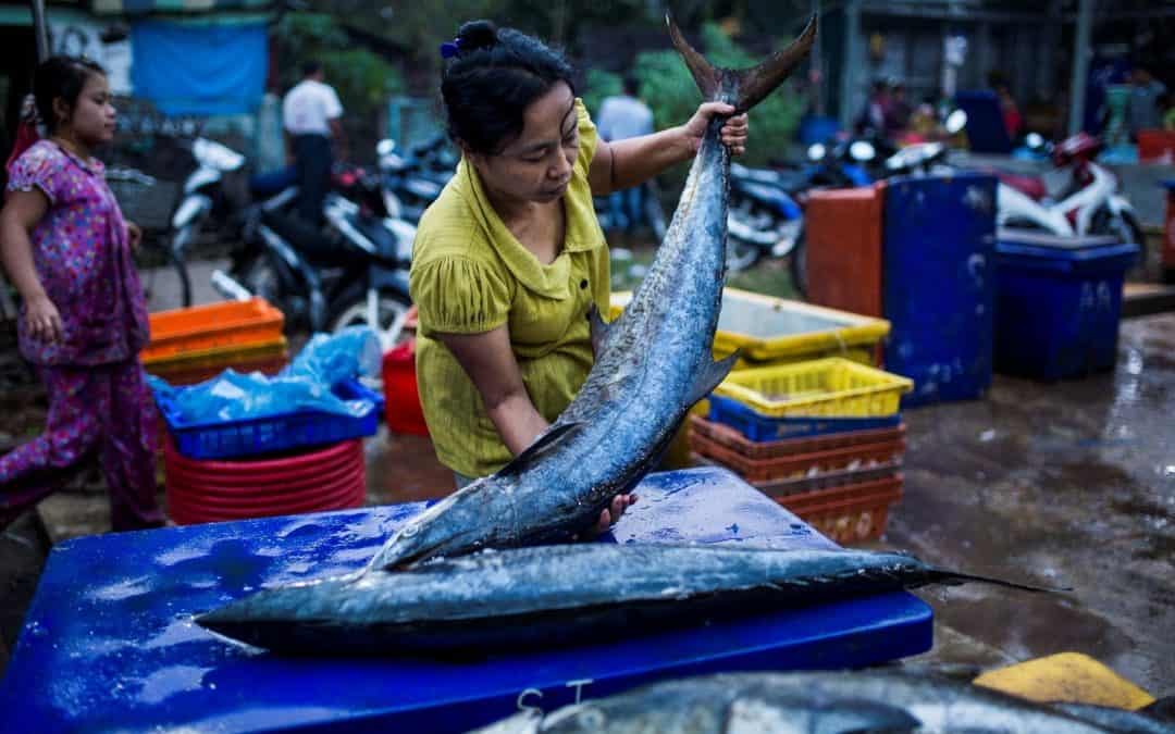WWF: Половата дискриминация вреди на риболовната индустрия