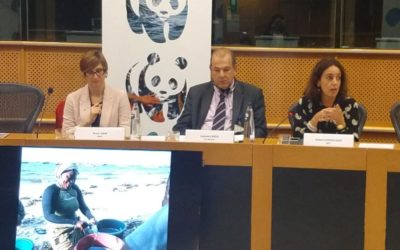 The roles of women must be reinforced in EU marine policies