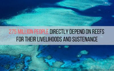 Corals and communities: EJF report highlights devastating impacts of climate crisis on reefs