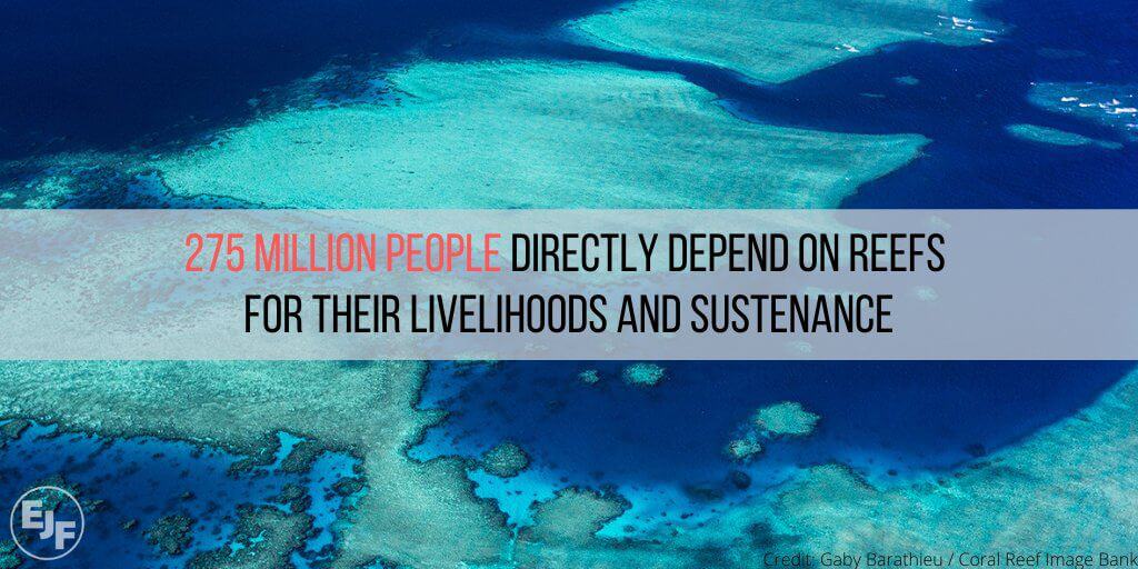 Corals and communities: EJF report highlights devastating impacts of climate crisis on reefs