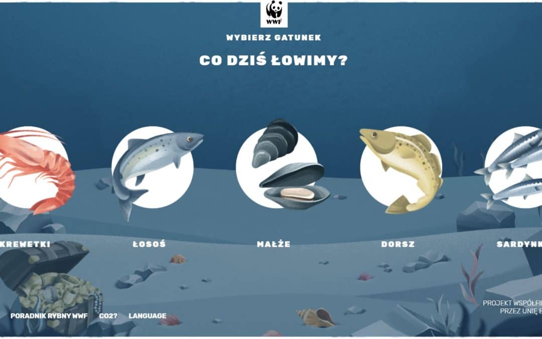 ŚLEDŹ SWÓJ ŚLAD WĘGLOWY Z GRĄ WWF