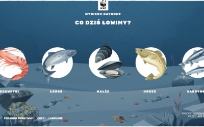 ŚLEDŹ SWÓJ ŚLAD WĘGLOWY Z GRĄ WWF