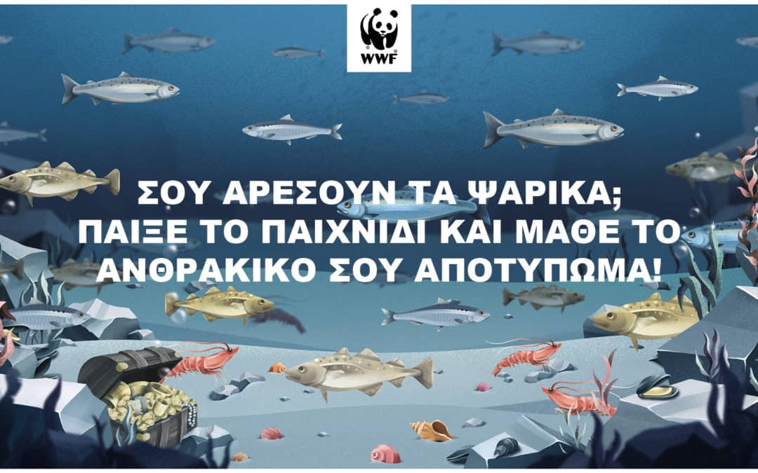 Νέο «διαδικτυακό παιχνίδι» από το WWF στη μάχη κατά των εκπομπών CO2