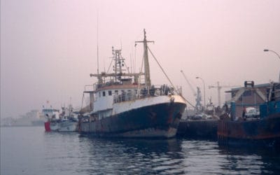 Заради Covid-19 ЕС приема спешни мерки в областта на рибарството и аквакултурите